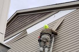 Best Wood Siding Installation  in Murrells Inlet, SC